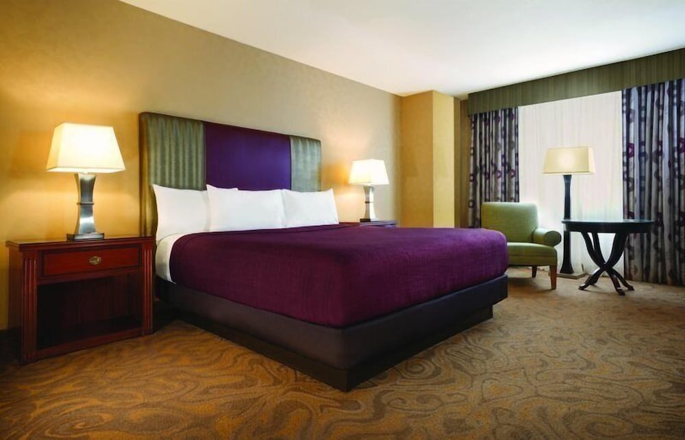 Circus Circus Hotel Casino & Theme Park - photo 4