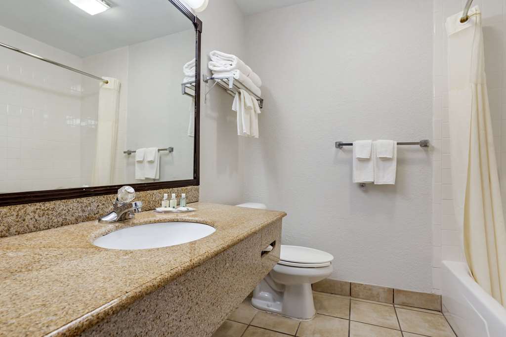Quality Inn & Suites NRG Park Medical Center - photo 17
