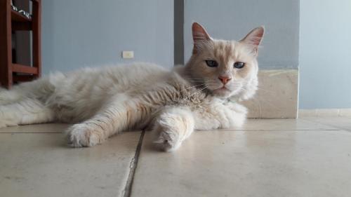 Buen Descanso — Salta — photo 2