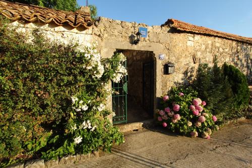 Villa Violić