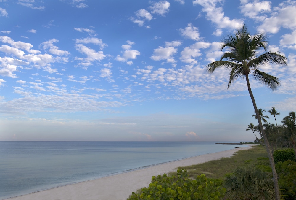 Edgewater Beach Hotel - photo 80