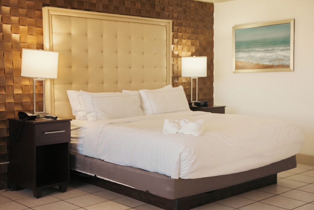 Hilton Palm Beach PBI - photo 49
