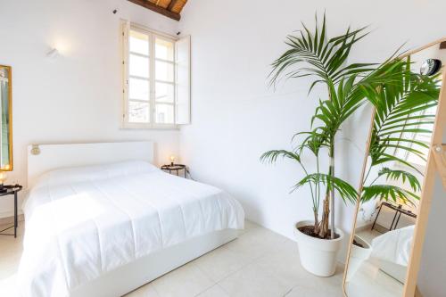 Castello Attic Sunset Terrace — 4-Star Luxury Hotel in Cagliari, Italy