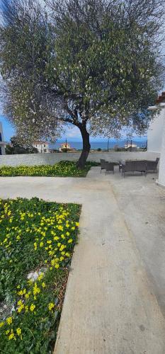 Maria’s Place Agkistri in Megalochori, Greece