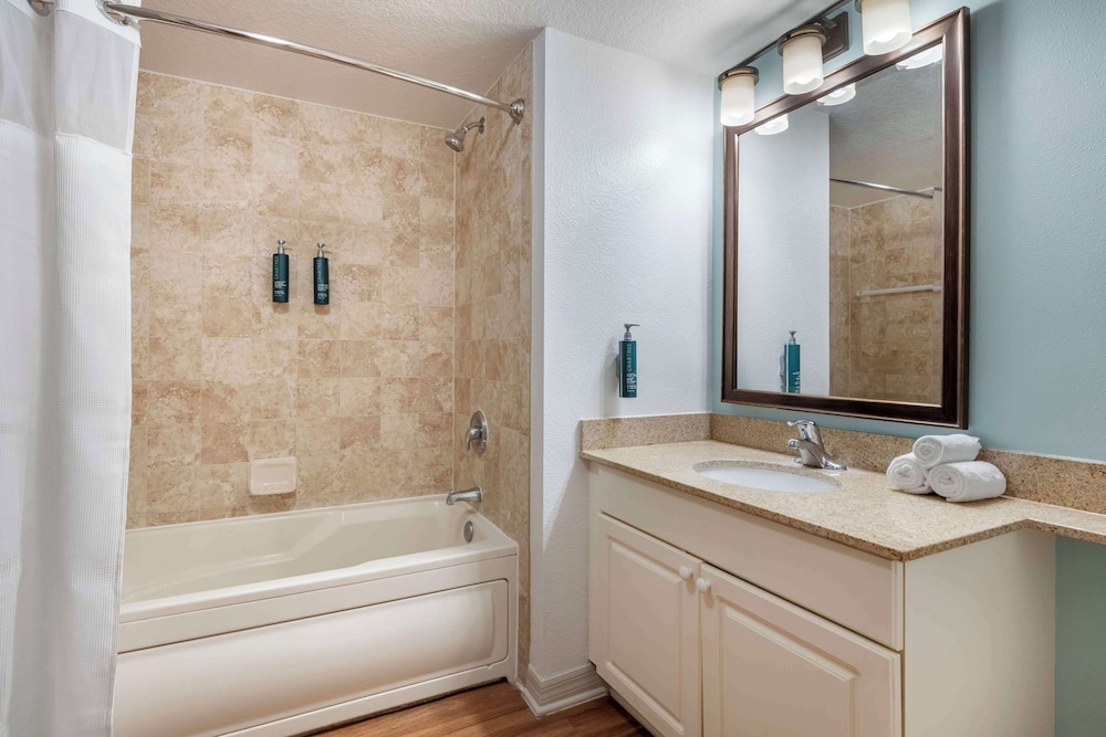 Hilton Vacation Club Aqua Sol Orlando West - photo 58