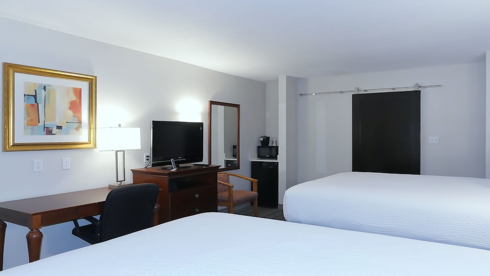 Hotel South Tampa & Suites - photo 5