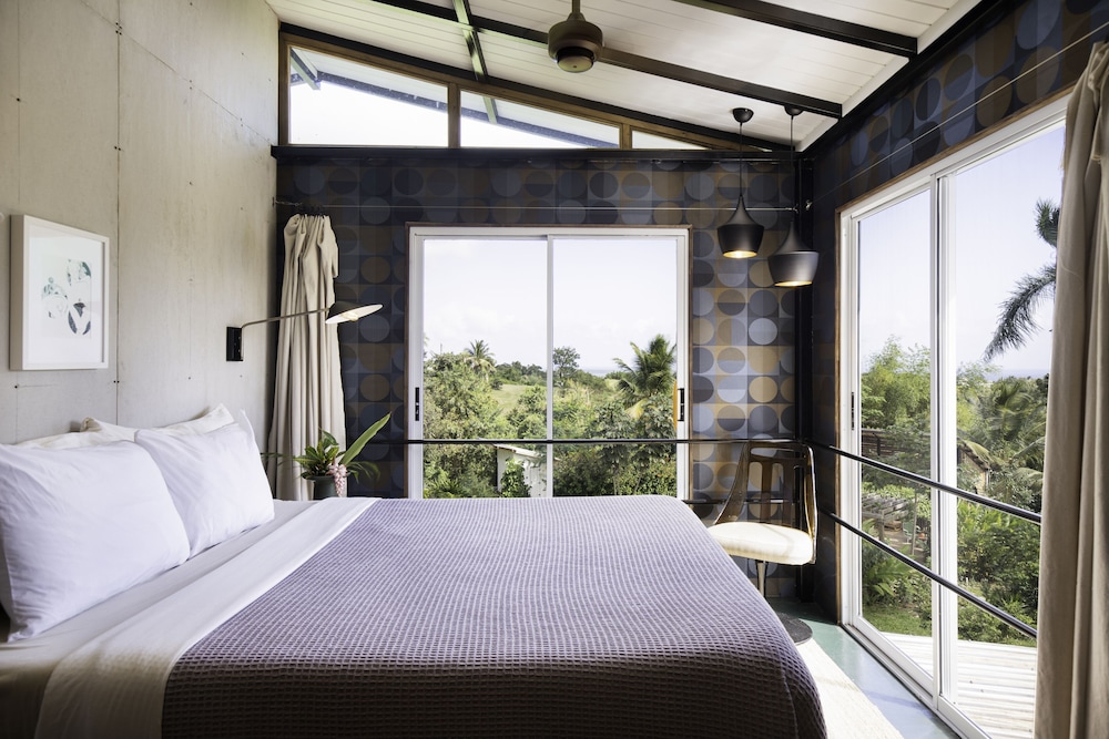 Finca Victoria - photo 8