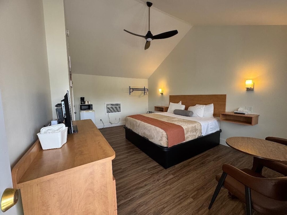 Studio Motel - photo 41