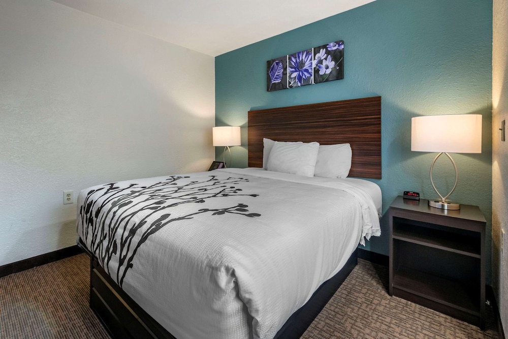 Sleep Inn Jacksonville Airport - photo 11