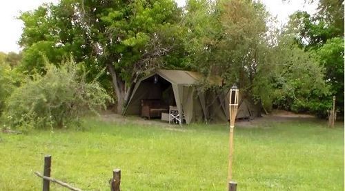 Hippo Island Okavango Delta in Maun, Botswana