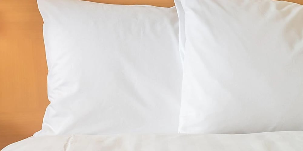 Holiday Inn Express Venice by IHG - photo 9