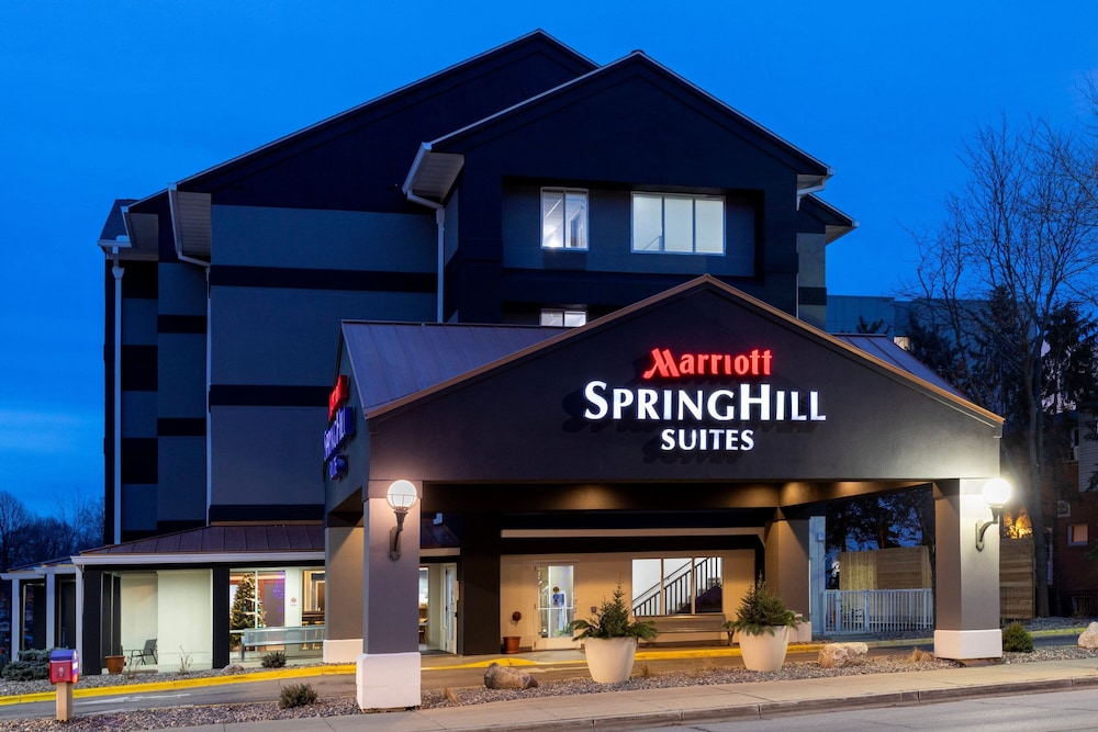 SpringHill Suites by Marriott Rochester Mayo Clinic St Marys - photo 33