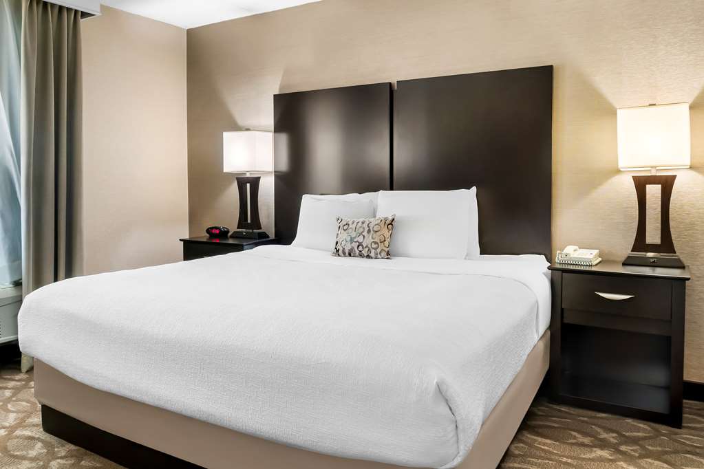 Best Western Okemos East Lansing Hotel & Suites - photo 19