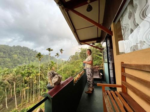 Rainforest View - carbon neutral hotel in Unknown City