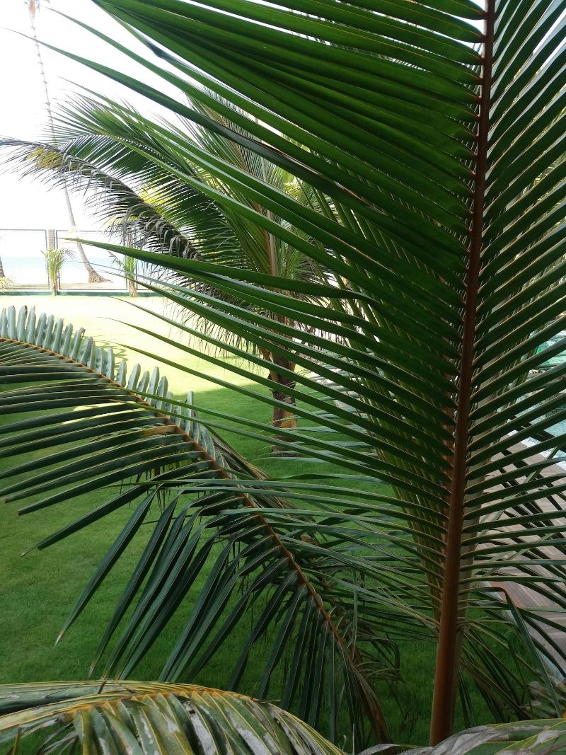 Ocean Queen Hotel - carbon neutral hotel in Colombo