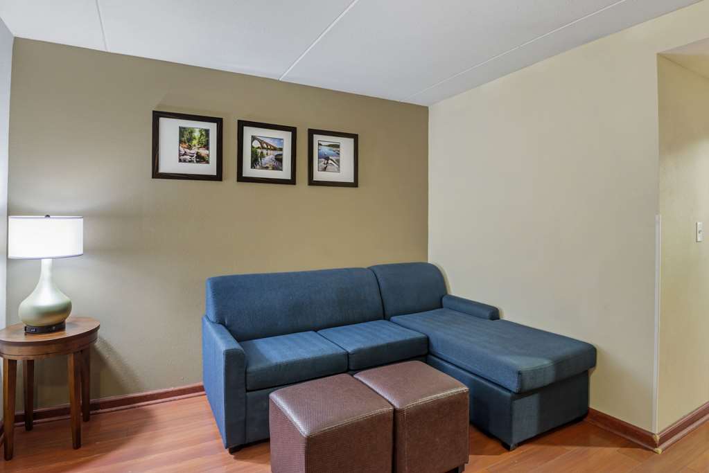 Comfort Suites At Virginia Center Commons - photo 22