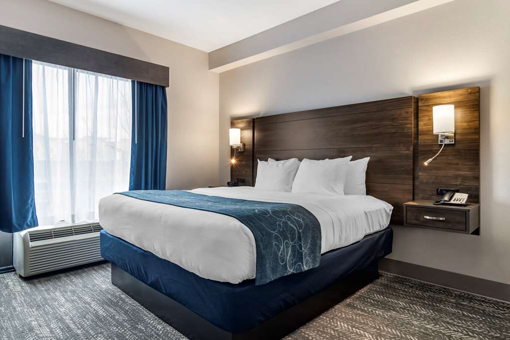Comfort Suites McDonough Atlanta South - photo 16