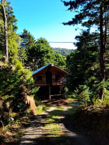Cabaña de montaña Queca in Alajuela, Costa Rica