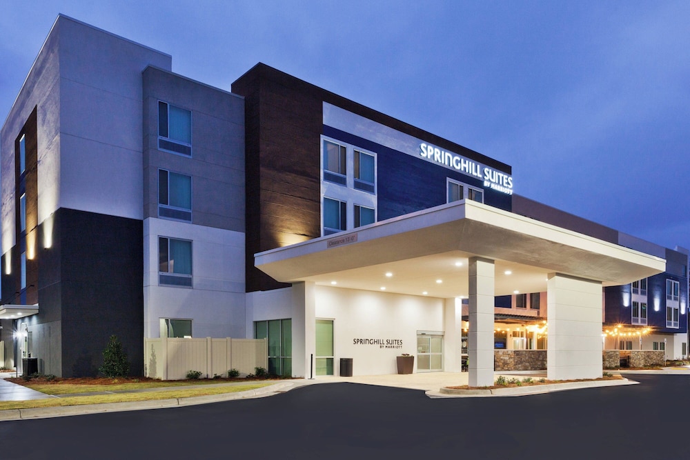 SpringHill Suites by Marriott Montgomery Prattville Millbrook - photo 31