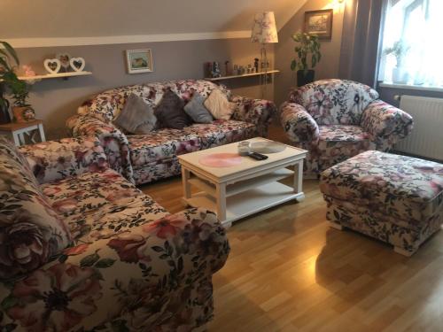 Apartmán u Míši in Suchdol Nad Luznici, Czech Republic