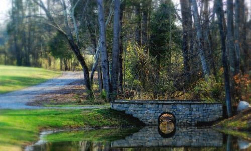 Stevenson Ridge - photo 107