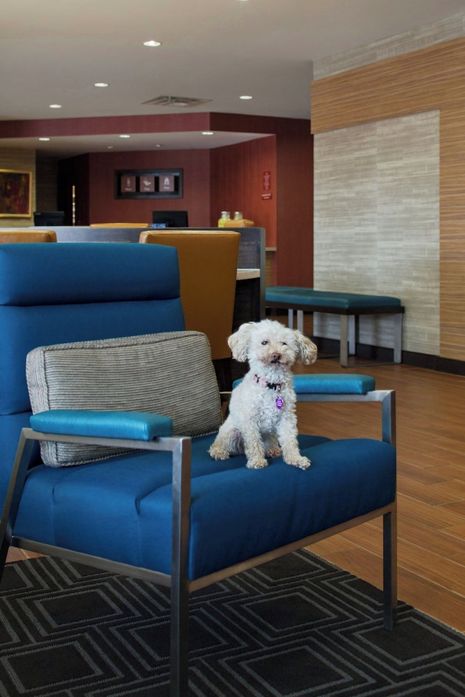 TownePlace Suites by Marriott Austin Round Rock - photo 21
