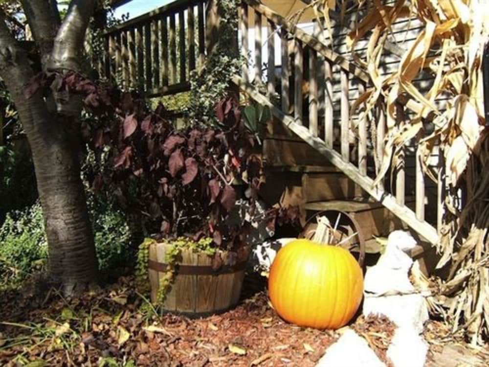 Boyden House Inn B&B - photo 42