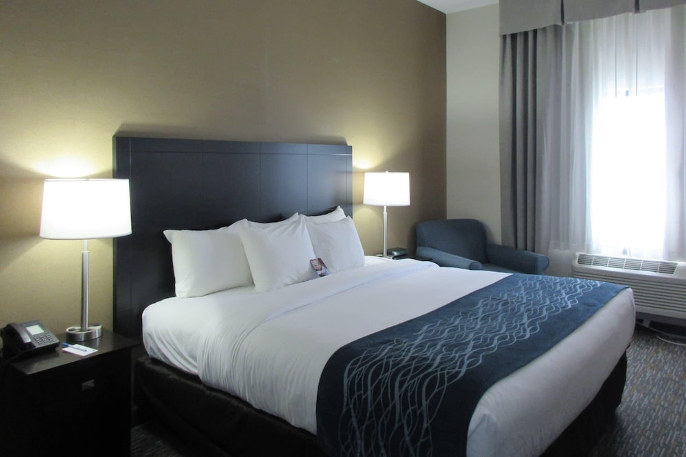 Comfort Inn Port Huron — hotel in Port Huron