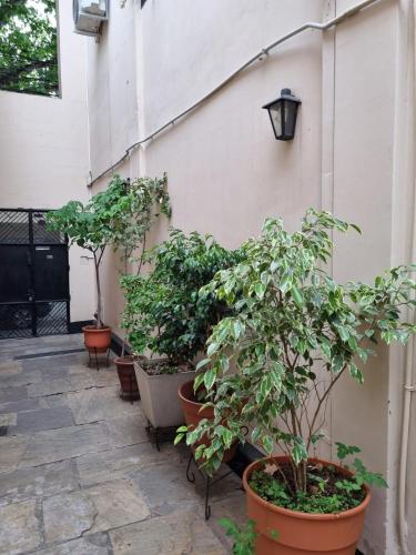 Espacio Verde - last minute hotel in Salta