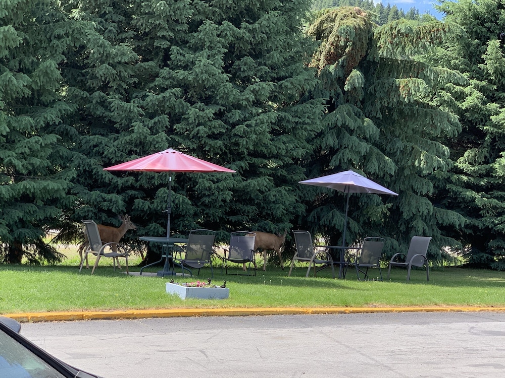 Evening Star Motel — hotel in Greenwood