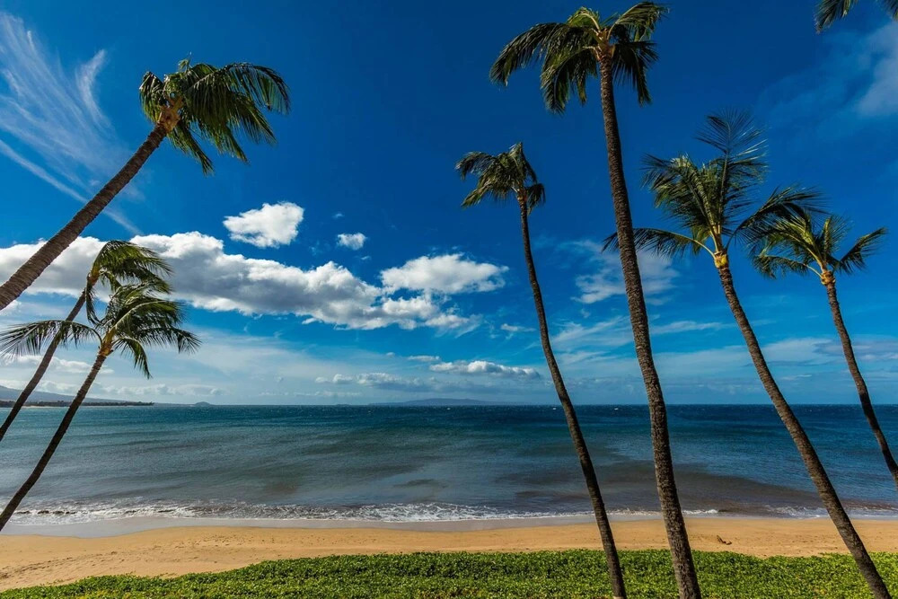Sugar Beach Resort 209 by Coldwell Banker Island Vacations - photo 14