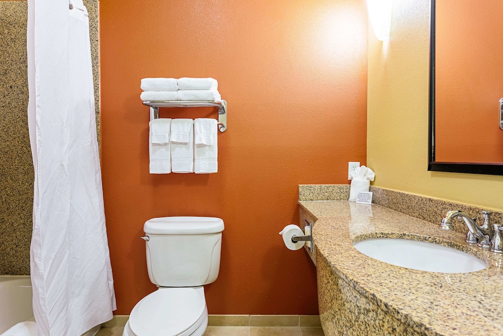 Sleep Inn & Suites Tyler South - photo 25