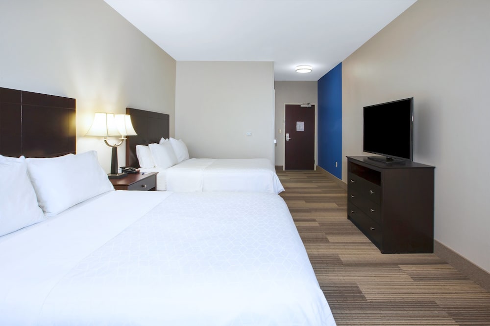 Holiday Inn Express Hotel & Suites Niles by IHG - photo 6