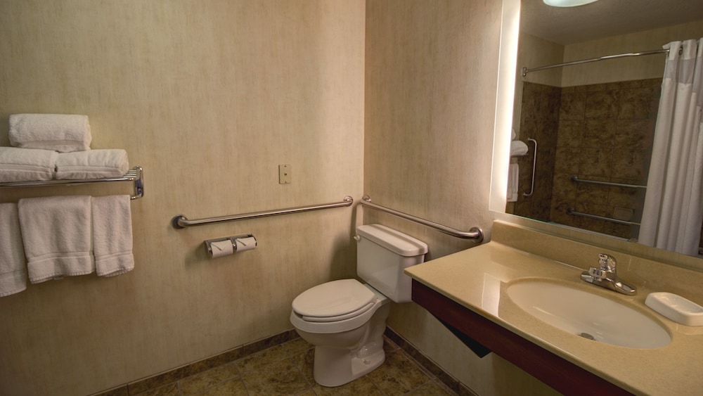Holiday Inn Express & Suites Sioux Center by IHG - photo 17