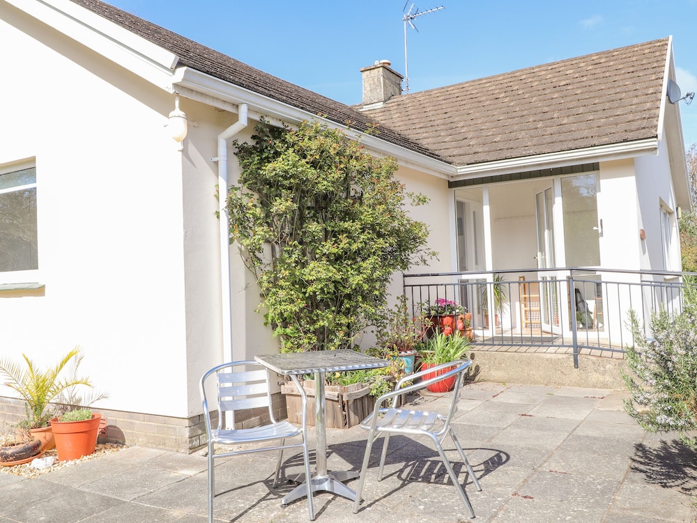 Goldcrest in Newport, United Kingdom