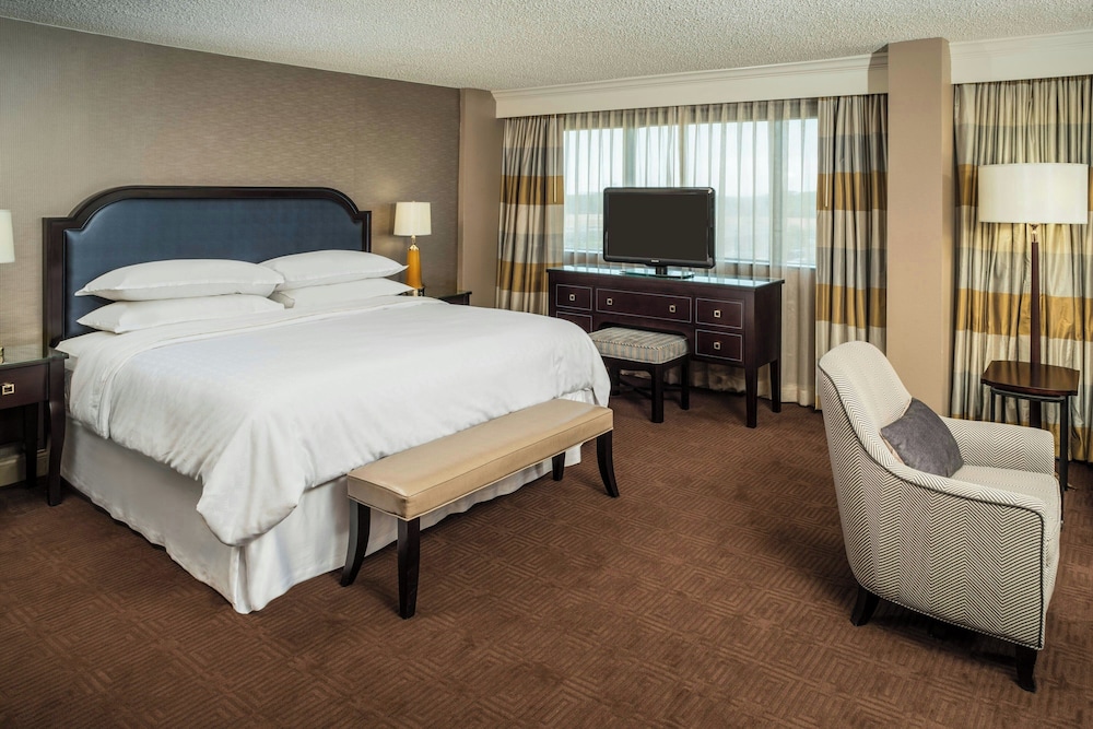 Sheraton North Houston at George Bush Intercontinental - photo 13