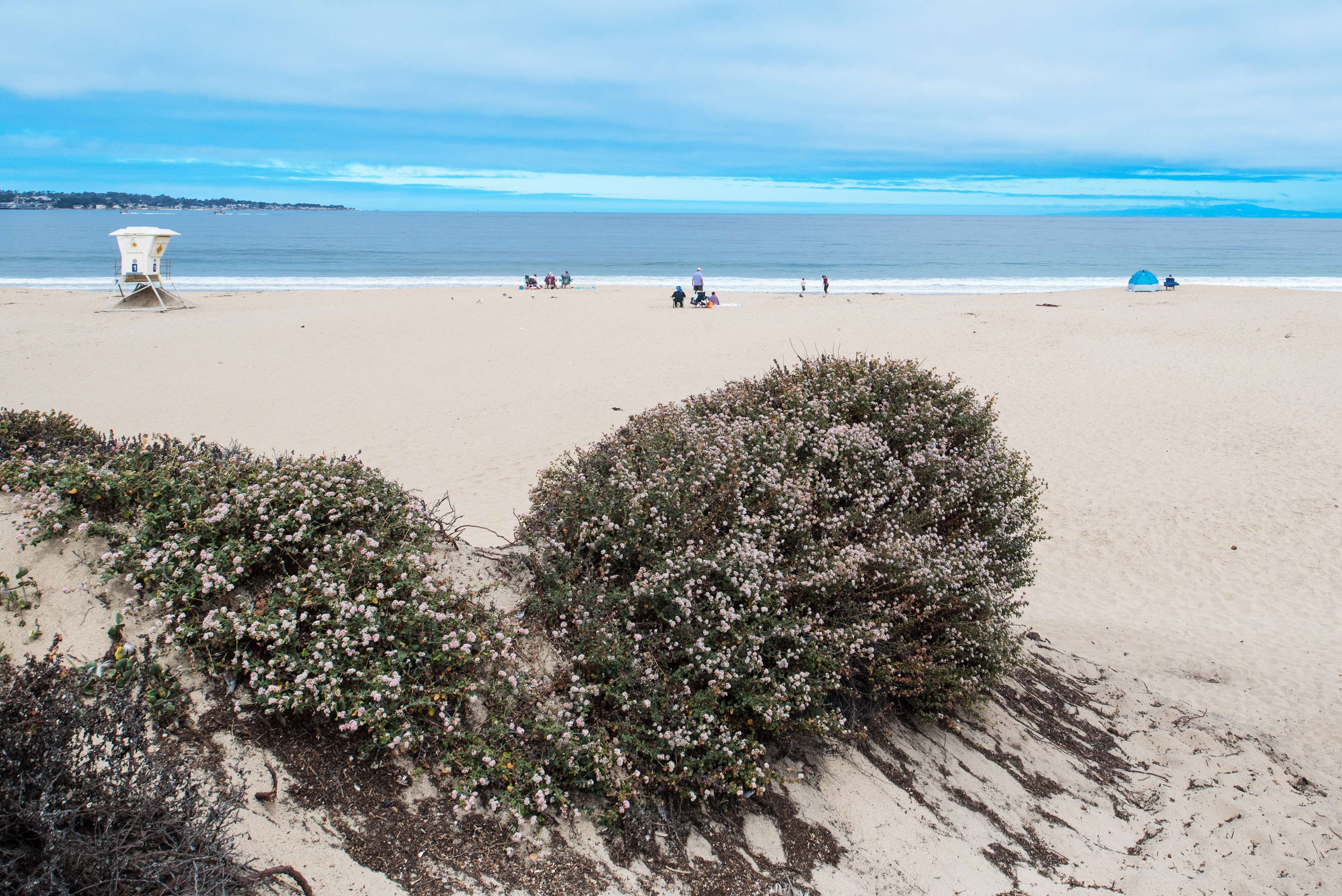 Hampton Inn Monterey - photo 15