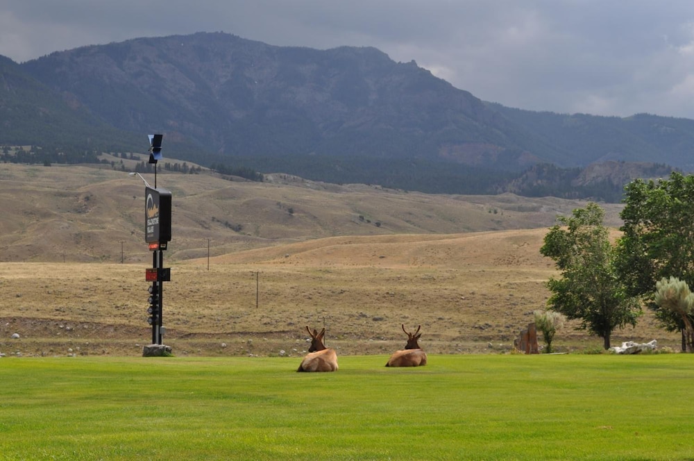 Yellowstone Village Inn and Suites - photo 11