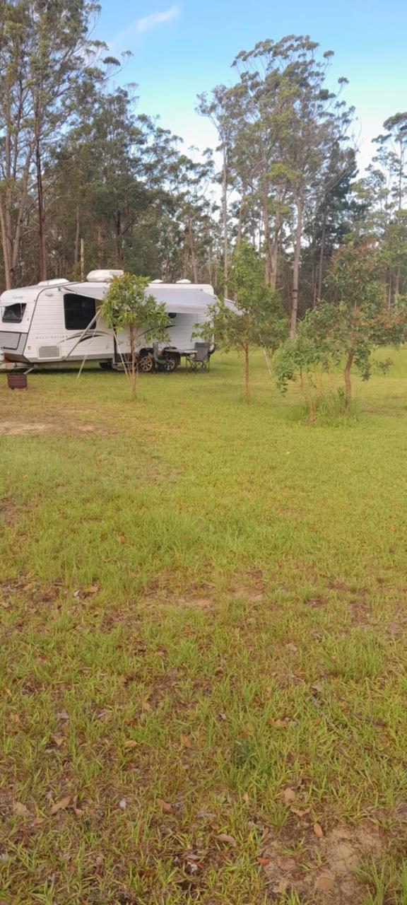 Caravan Capers — hotel in Wingham