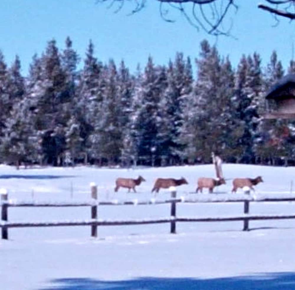 DiamondStone Guest Lodges - photo 55