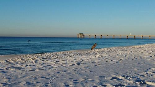 Seaspray Condos 116B — 4-Star Luxury Hotel in Fort Walton Beach, United States
