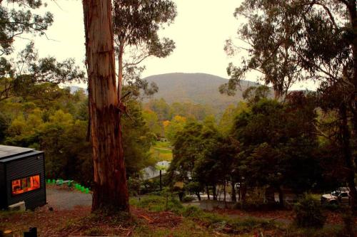 Kookaburra's Perch - last minute hotel in Millgrove