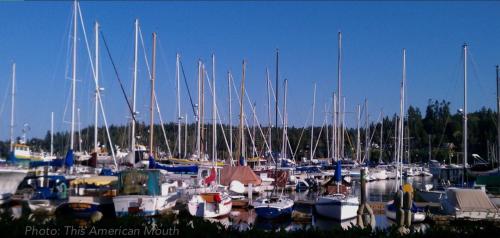 Seattle Urban Village - photo 50