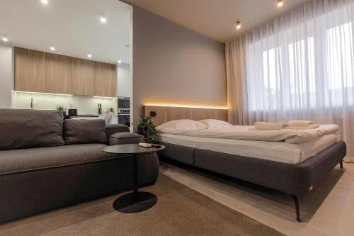 Cactus Apartments 2 — 4-Star Luxury Hotel in Ivano-Frankivsk, Ukraine