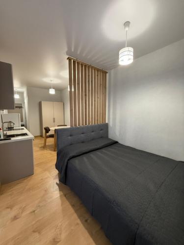 Green door in Kolomyia, Ukraine