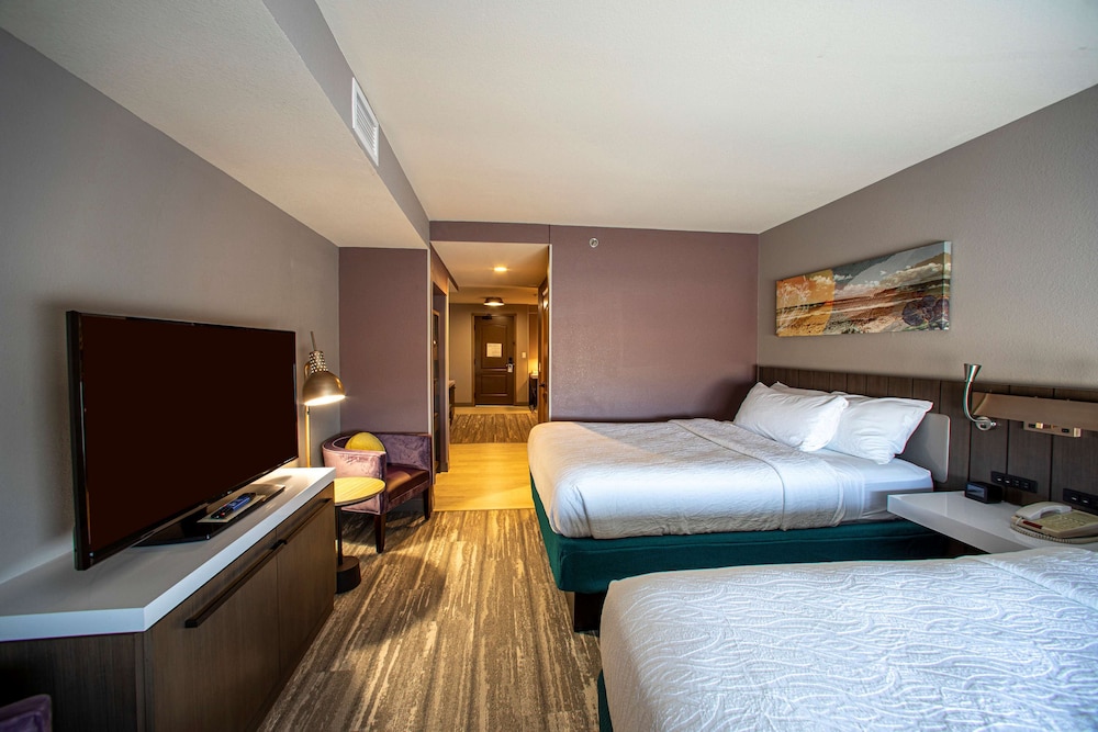 Hilton Garden Inn Rapid City - photo 27