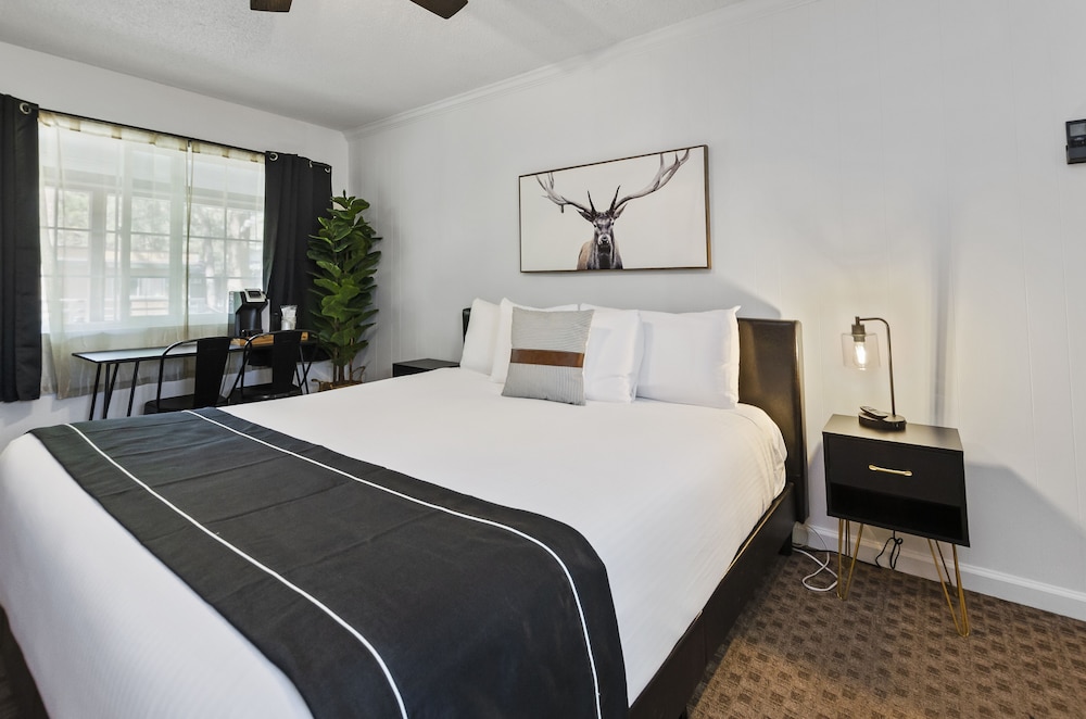 The Jeffrey Hotel - photo 9