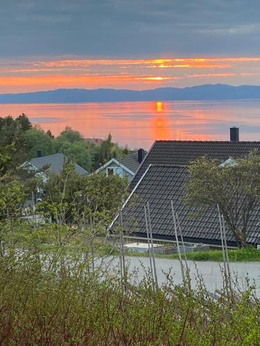 Lite hus i hagen — Malvik — photo 3
