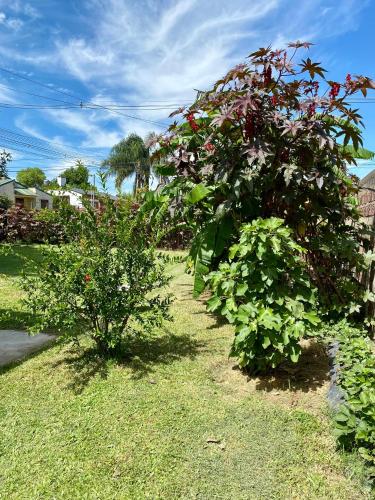Los Cardenales in San Jose, Argentina