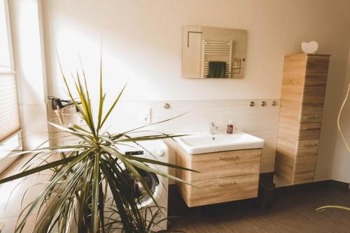 Am Erxleben Hotel — Quedlinburg — photo 4